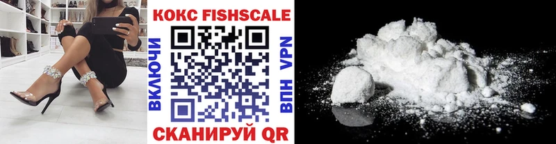 COCAIN Fish Scale Куса