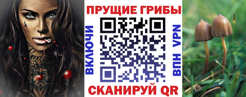 Галлюциногенные грибы прущие грибы  Куса 